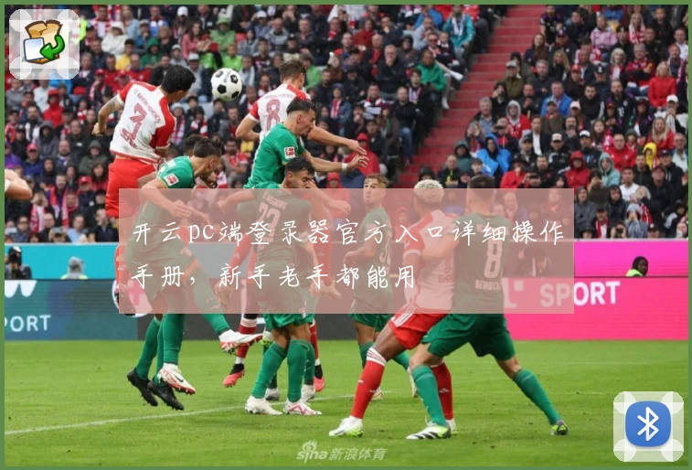 开云pc端登录器官方入口详细操作手册，新手老手都能用