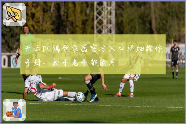 开云pc端登录器官方入口详细操作手册,新手老手都能用