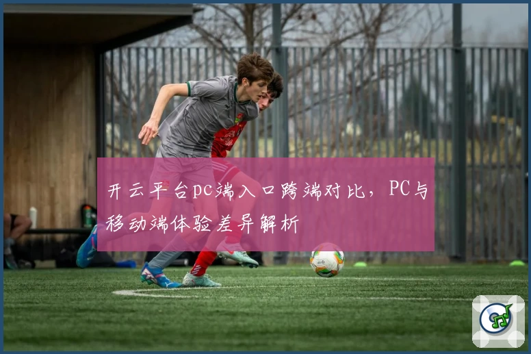 开云平台pc端入口跨端对比，PC与移动端体验差异解析