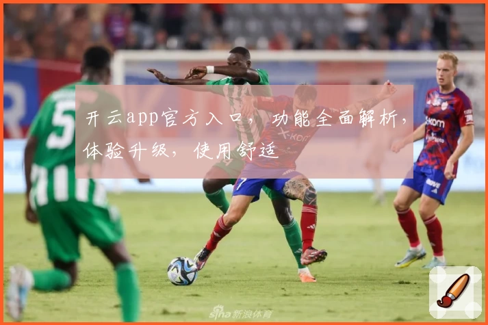 开云app官方入口，功能全面解析，体验升级，使用舒适