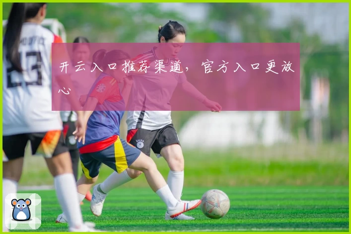 开云入口推荐渠道，官方入口更放心